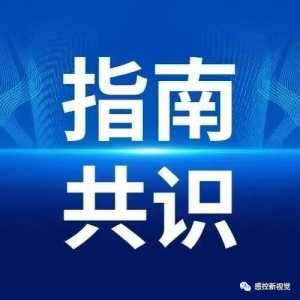 人呼吸道合胞病毒下呼吸道感染治疗及预防指南（2024版）